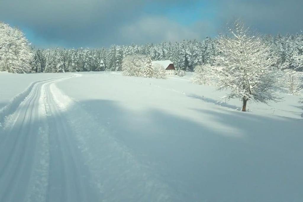 Ferienwohnung Im Schwarzwald Unterkirnach Екстер'єр фото