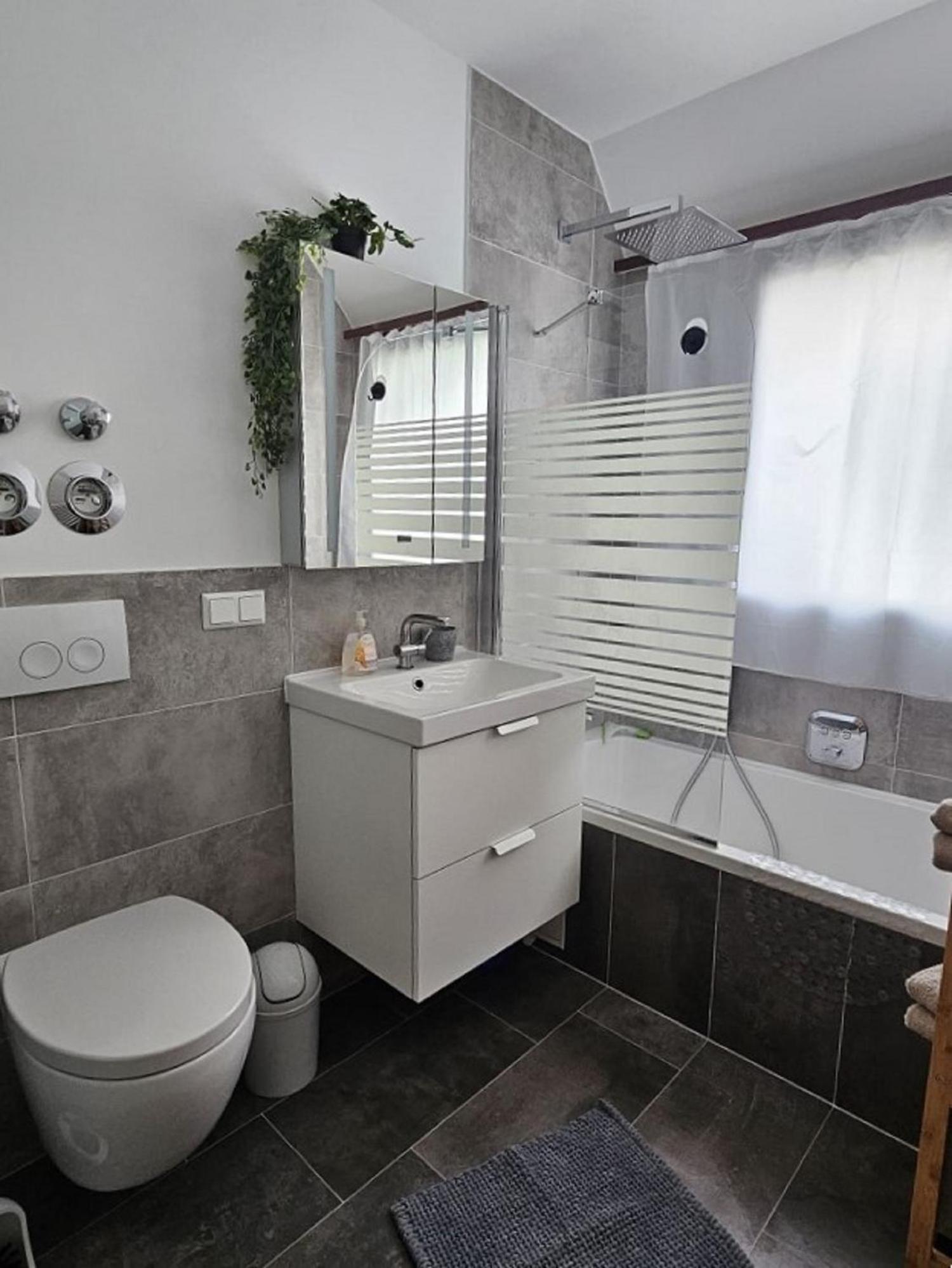 Ferienwohnung Im Schwarzwald Unterkirnach Екстер'єр фото